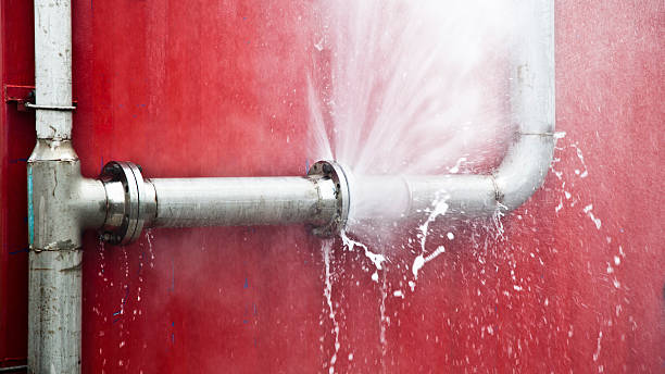 Professional Water damage restoration in Bloomingdale, FL